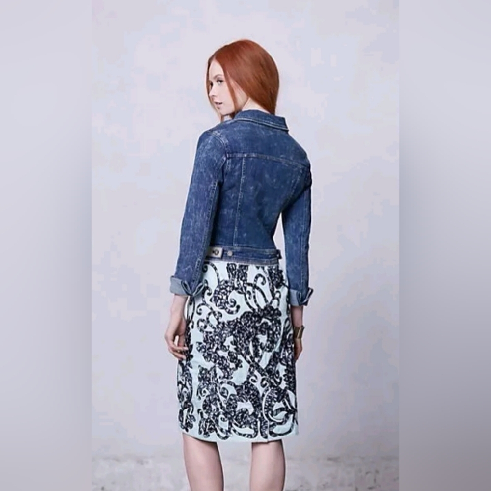 Anthropologie MOULINETTE SOEURS Lace Fable Pencil Skirt with Embroidery, Size 2
